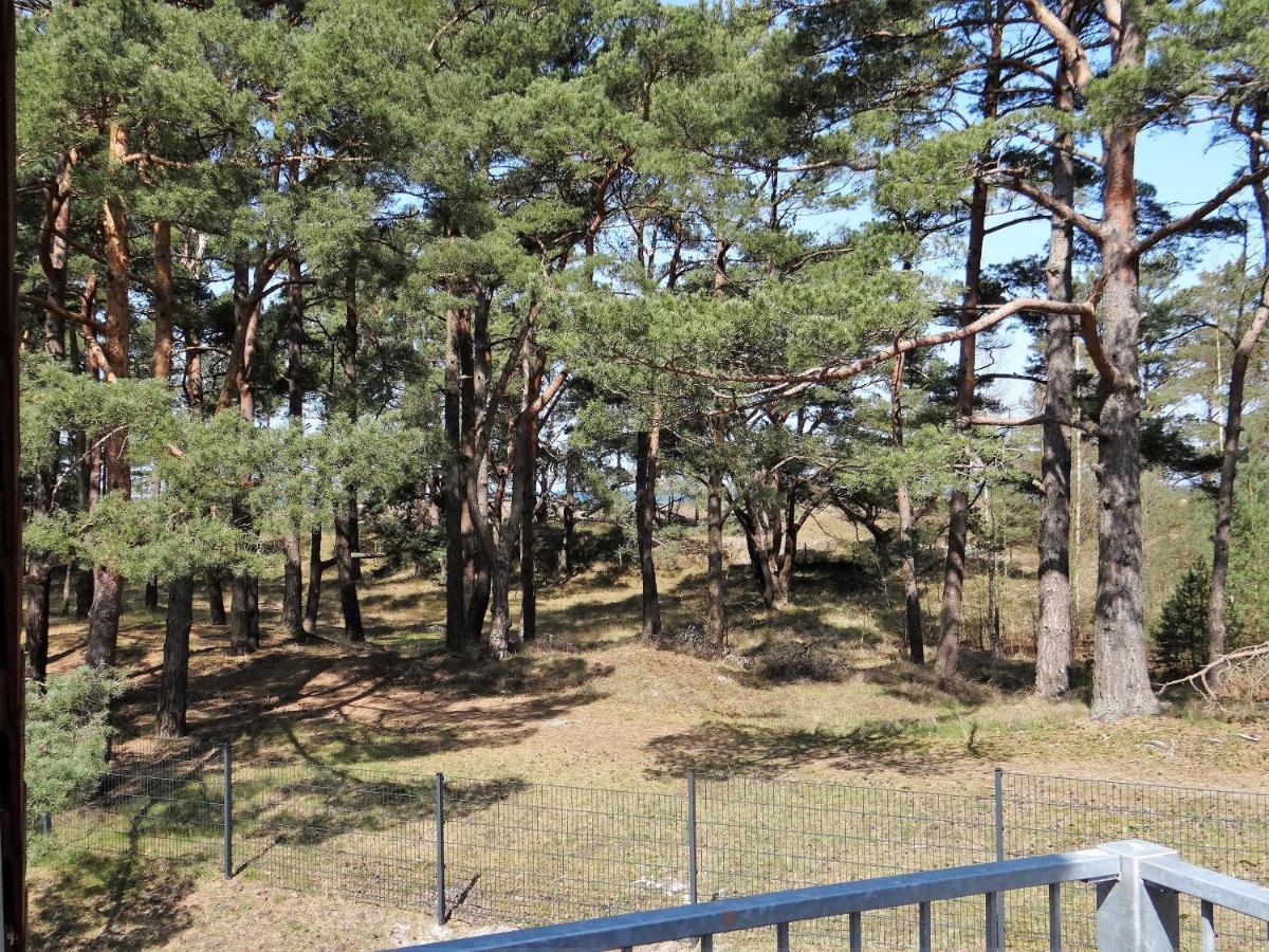 Ferienanlage Haus Hinter Den Duenen App 6 Dg 2 普雷罗 外观 照片